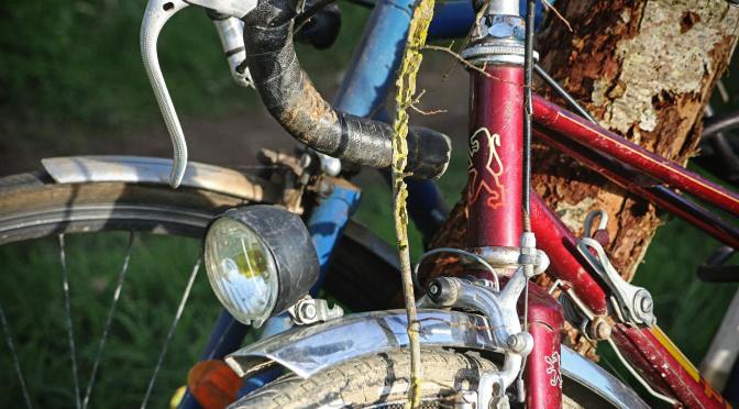 Cykla bör man annars dör man…